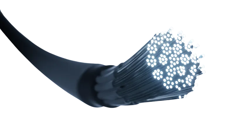 fibre